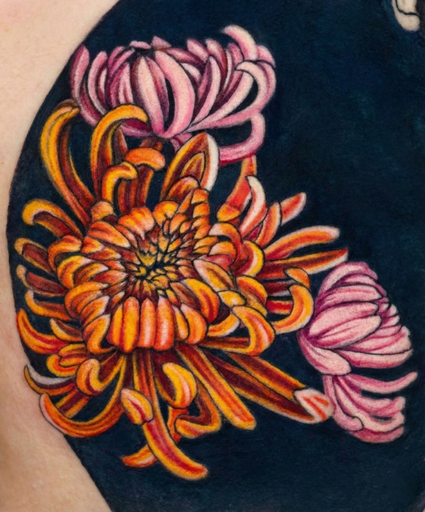 Chrysanthemum restoration